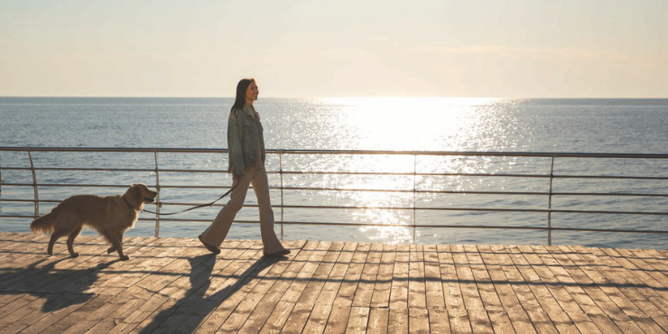 Canterbury%20Waterfront - 4