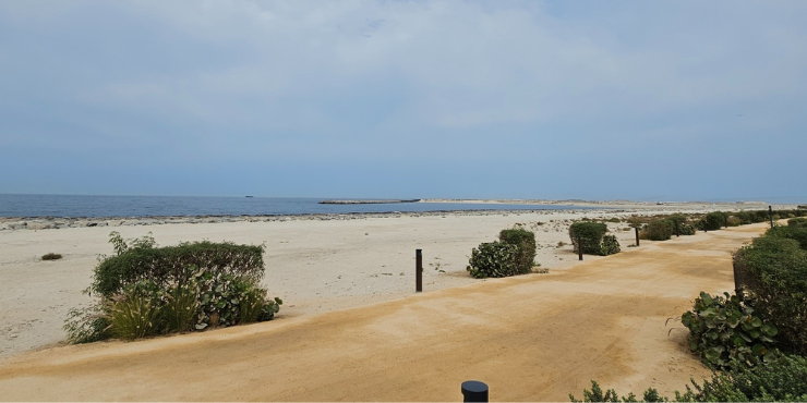 Residential%20Plot%20for%20Sale%20at%20Dubai%20Islands - 2