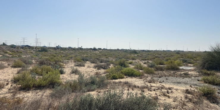 Townhouse%20Plots%20for%20Sale%20in%20Dubai - 2