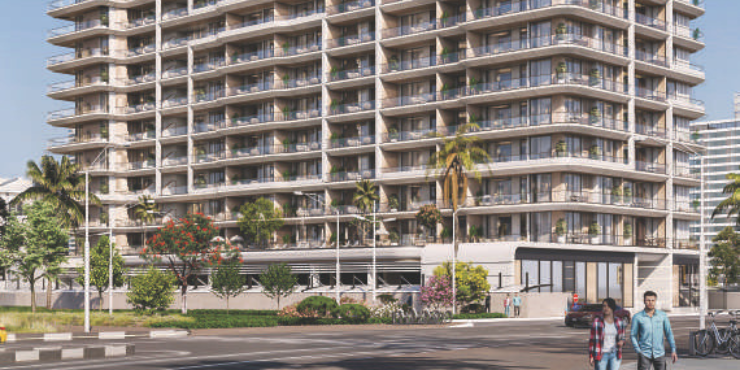 Vida%20by%20Vision - 1